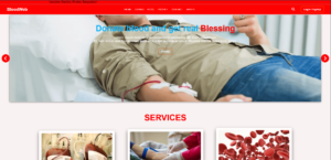 portfolio-1- web design