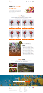 portfolio-2-web design